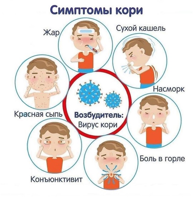 Корь